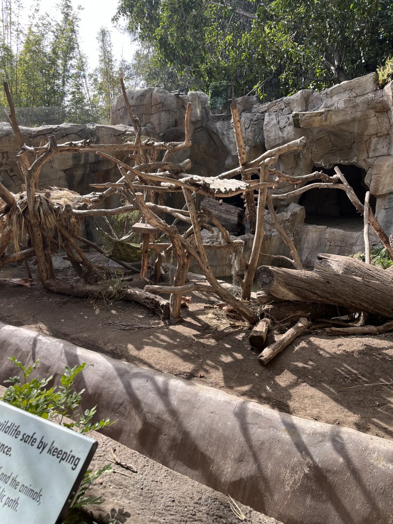 Andean bear exhibit