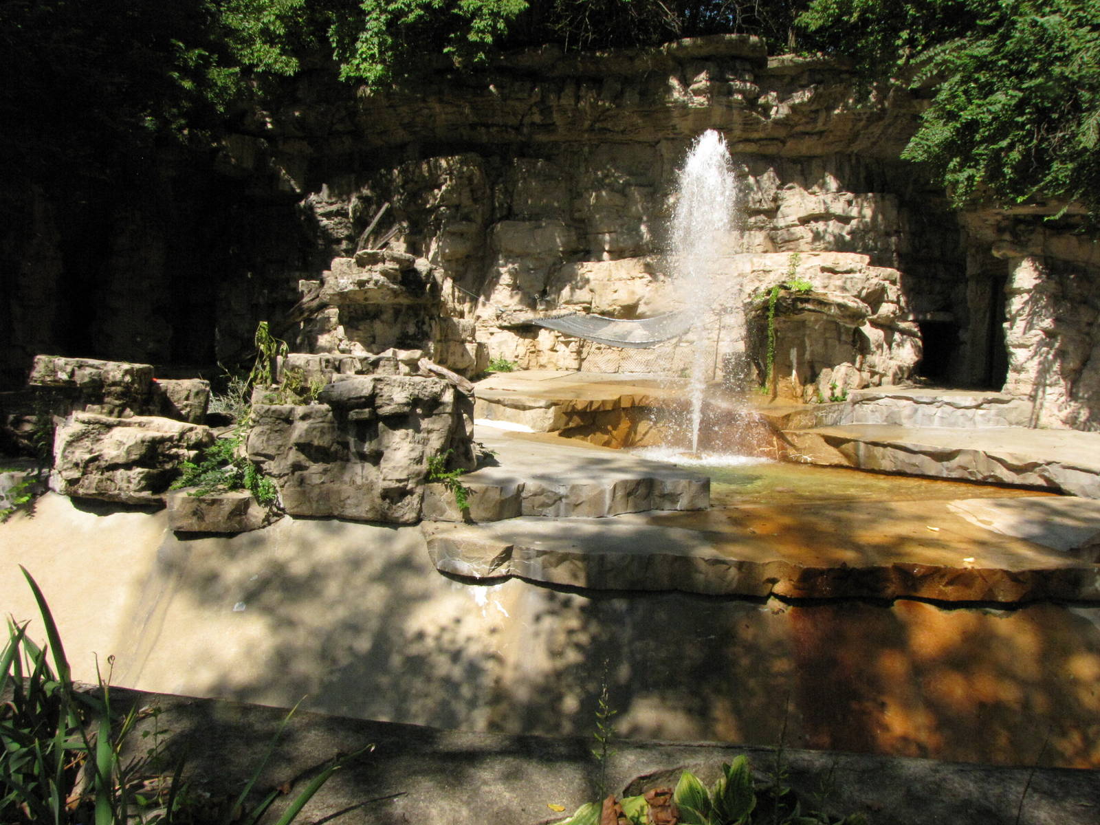 Andean Bear Grotto