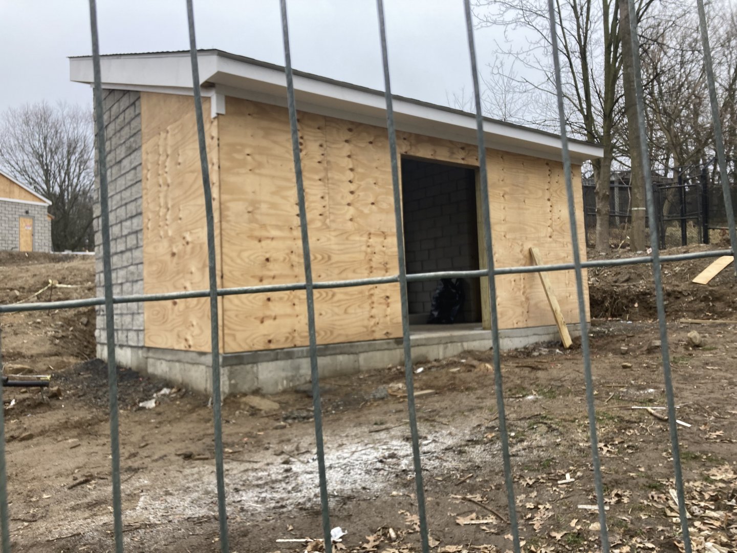 Andean Bear Habitat Construction March 19, 2021