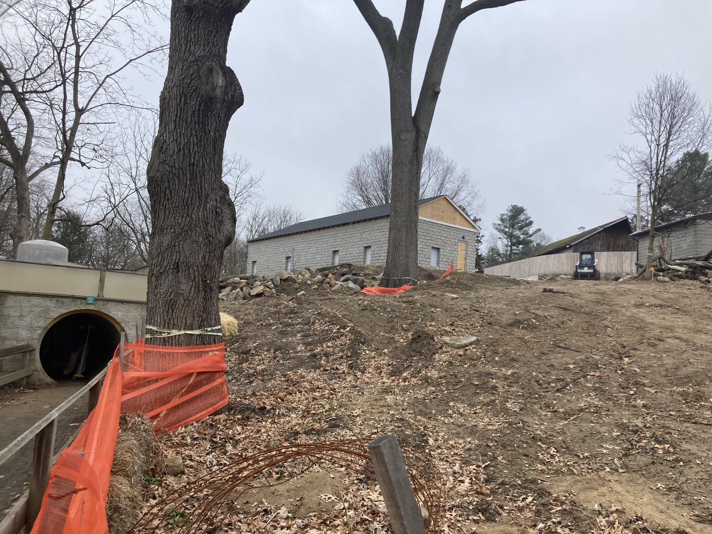 Andean Bear Habitat Construction March 19, 2021