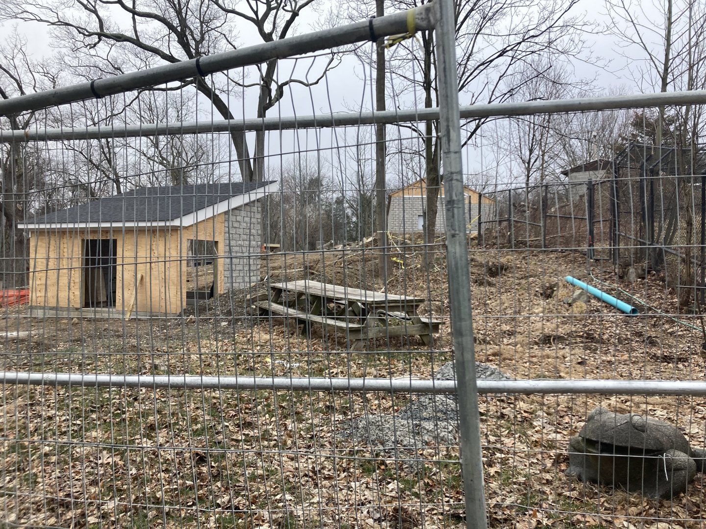 Andean Bear Habitat Construction March 19, 2021