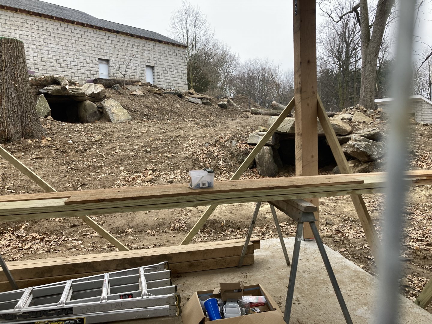 Andean Bear Habitat Construction March 19, 2021