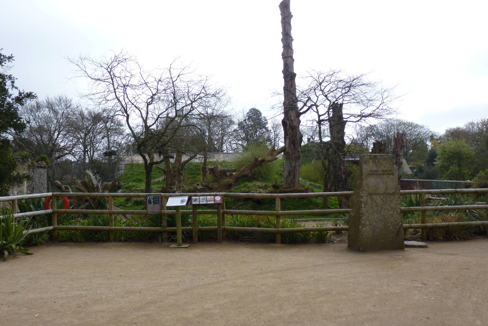 Andean Bear, Howler Monkey and Coati Enclosure, April 2013
