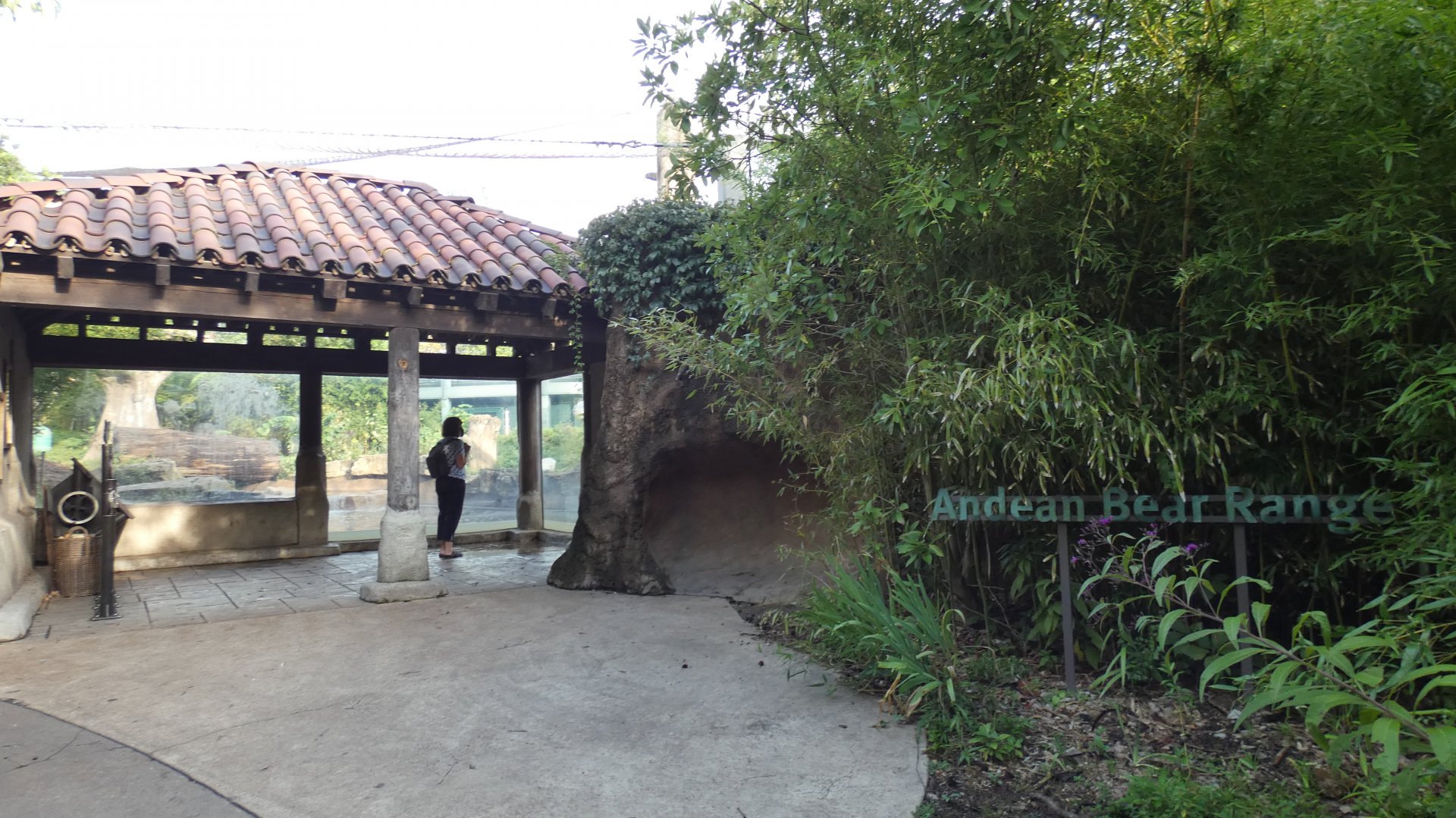 Andean Bear Range, South America, River's Edge - Sep. 2021