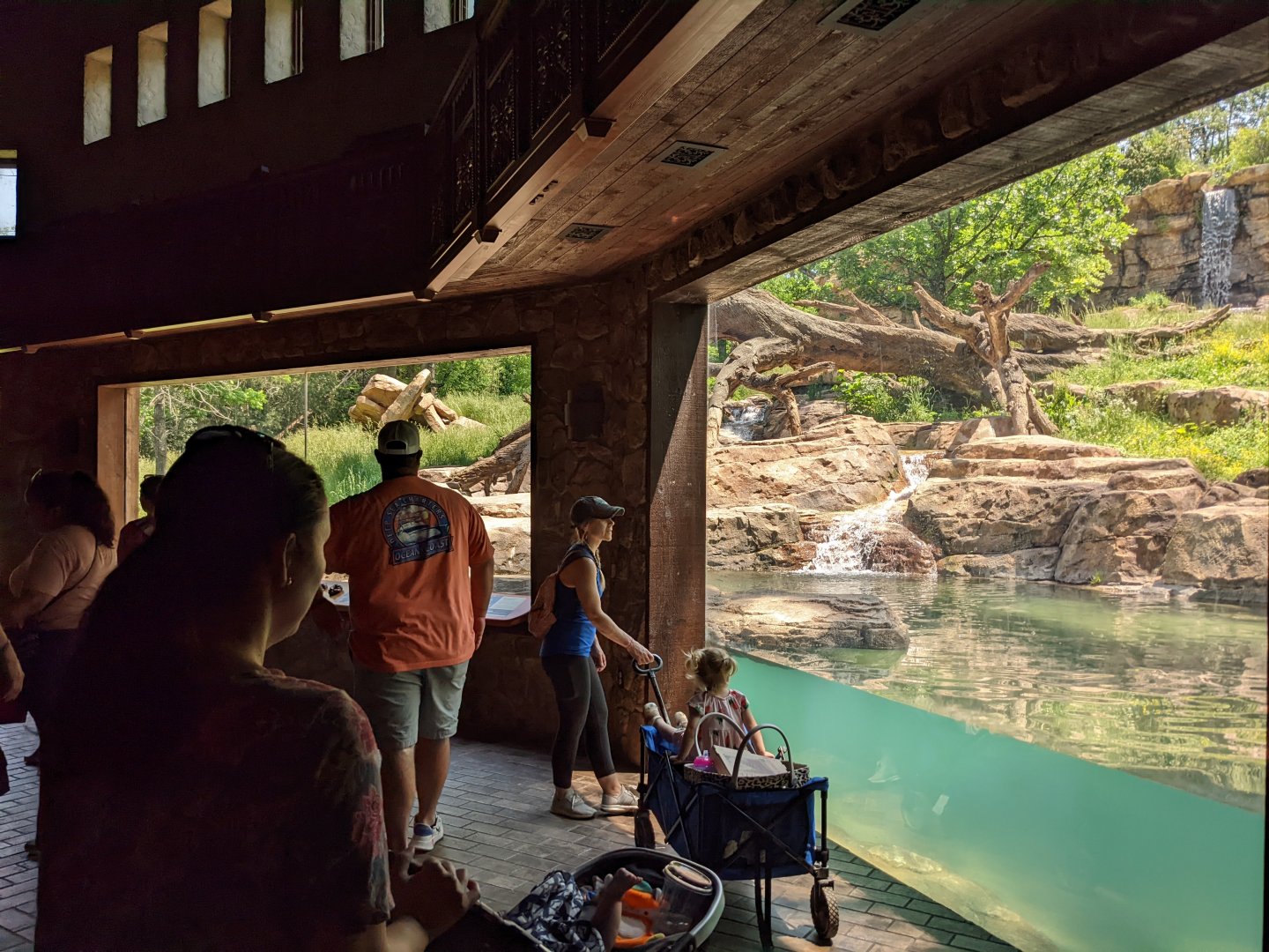 Andean Bear - viewing pavilion