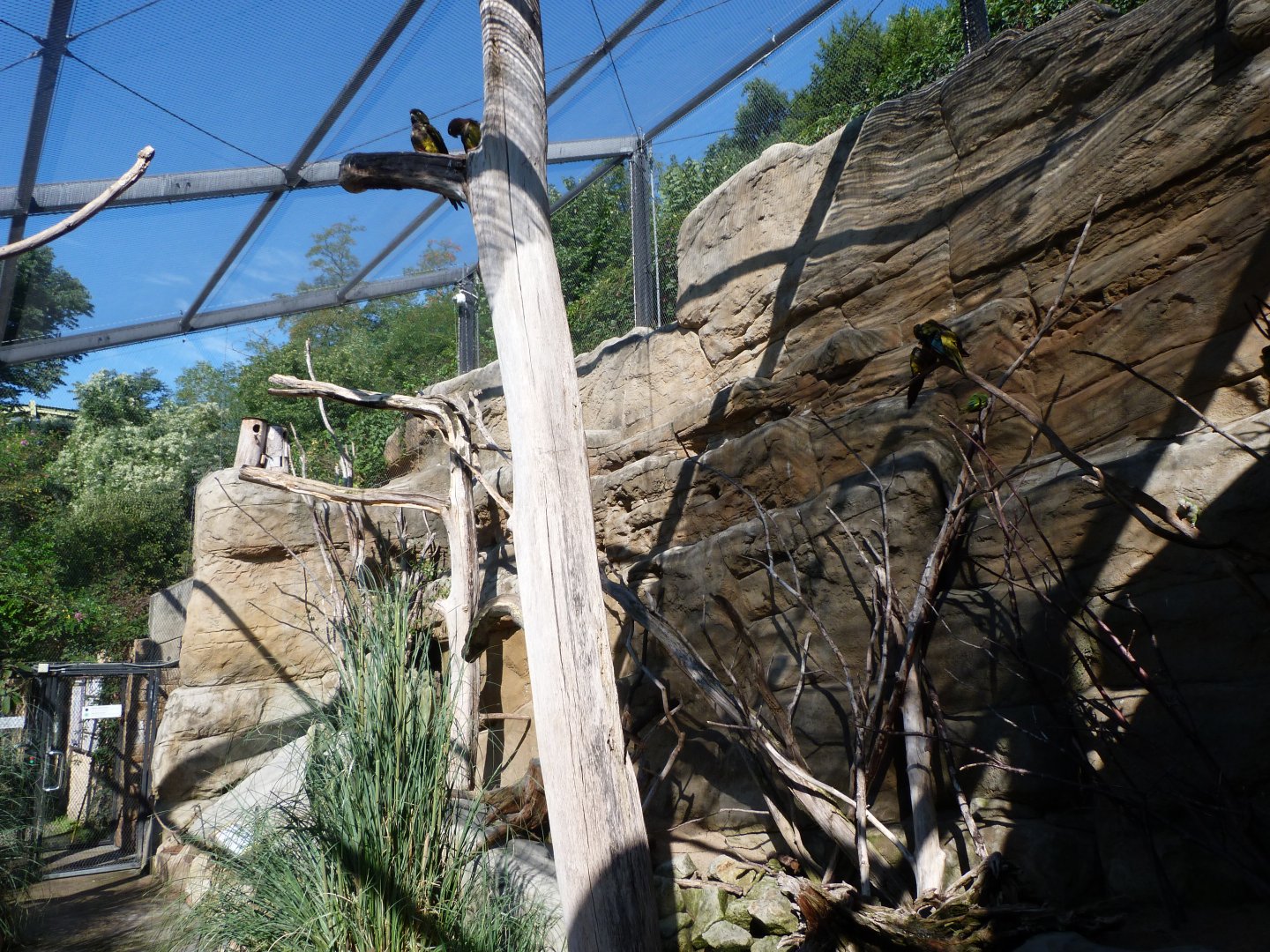 Andean cliff aviary -Zoo Praha (2025)