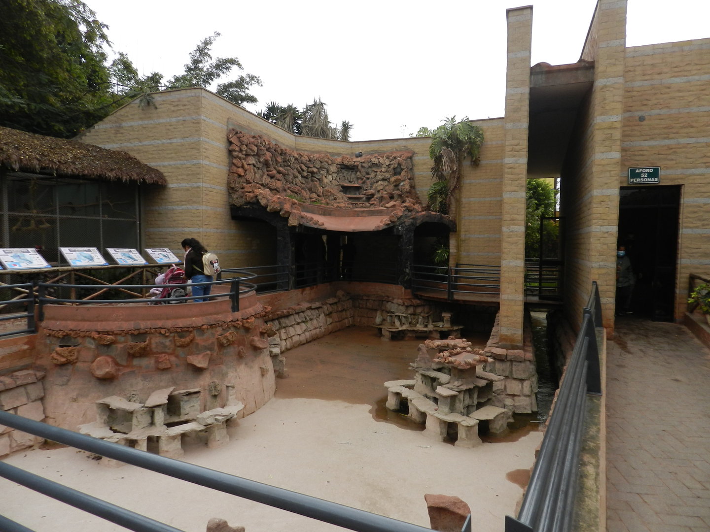 Andean cock-of-the-rock house - Parque de Las Leyendas