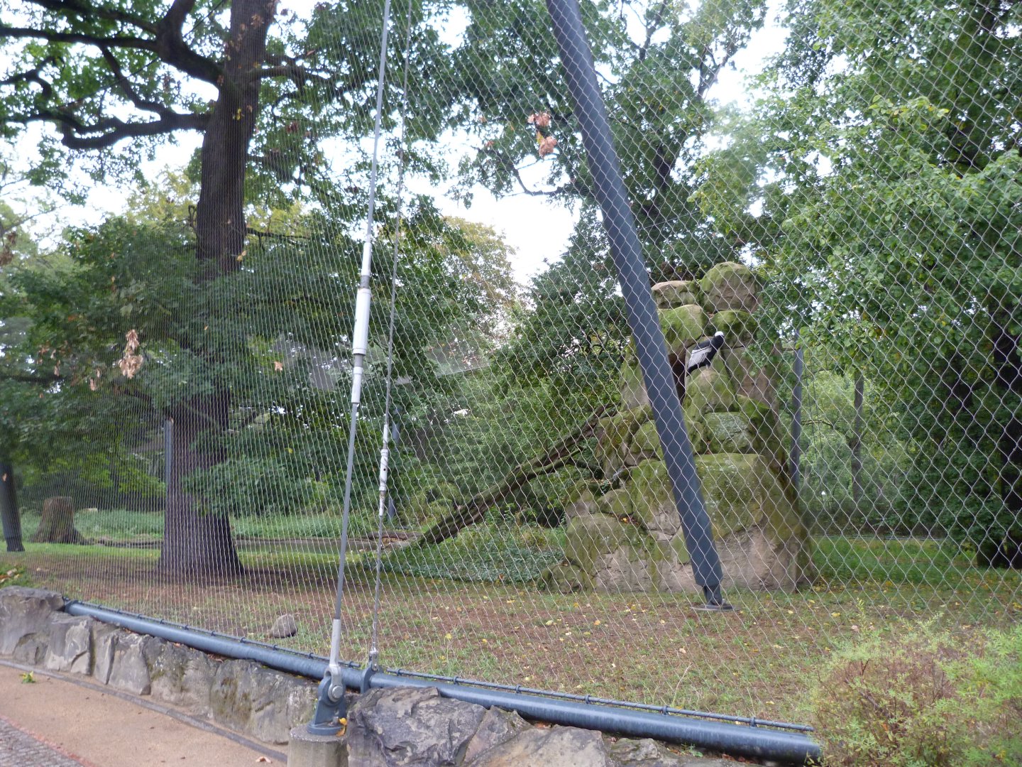 Andean condor and Waterfowl exhibit -Zoologischer Garten Berlin (2024)