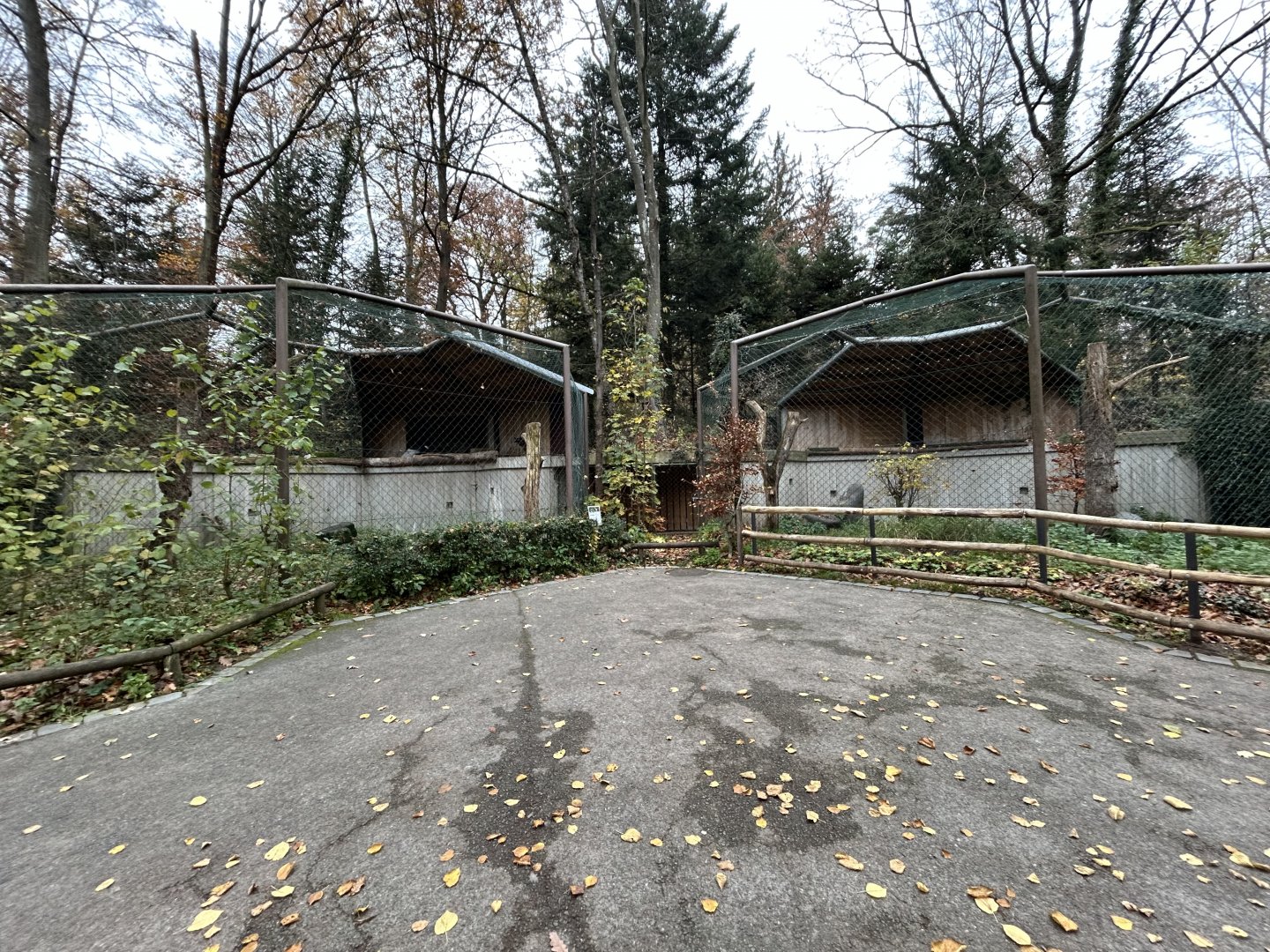 Andean Condor Aviaries