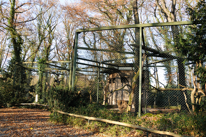 Andean condor aviary at Dortmund