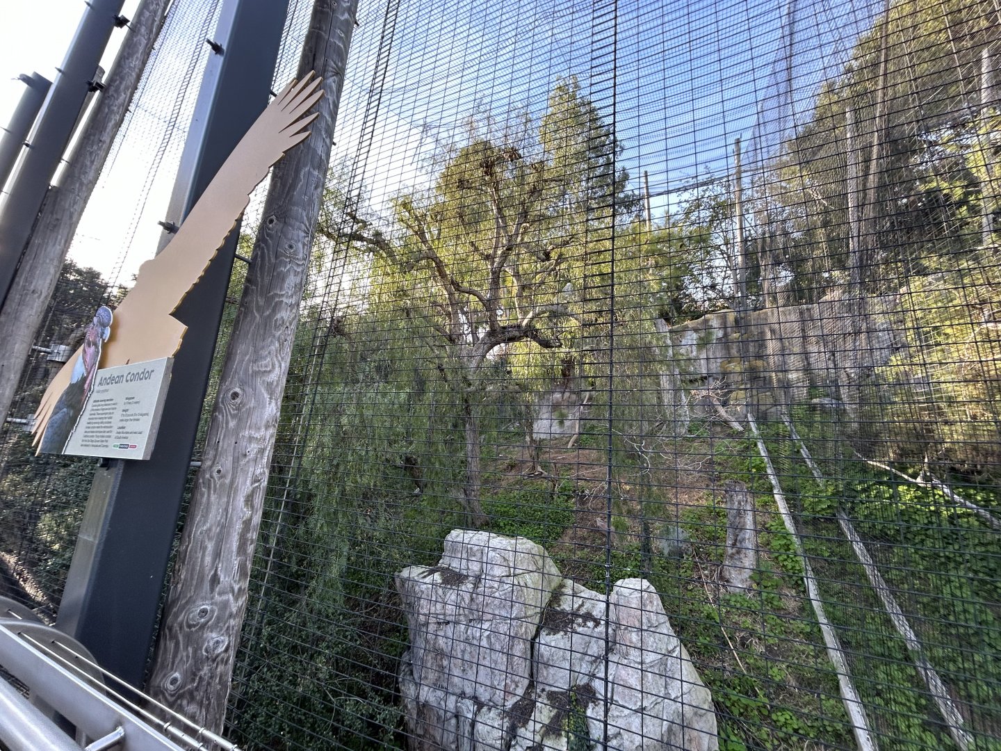 Andean Condor Aviary - Eagle Trail