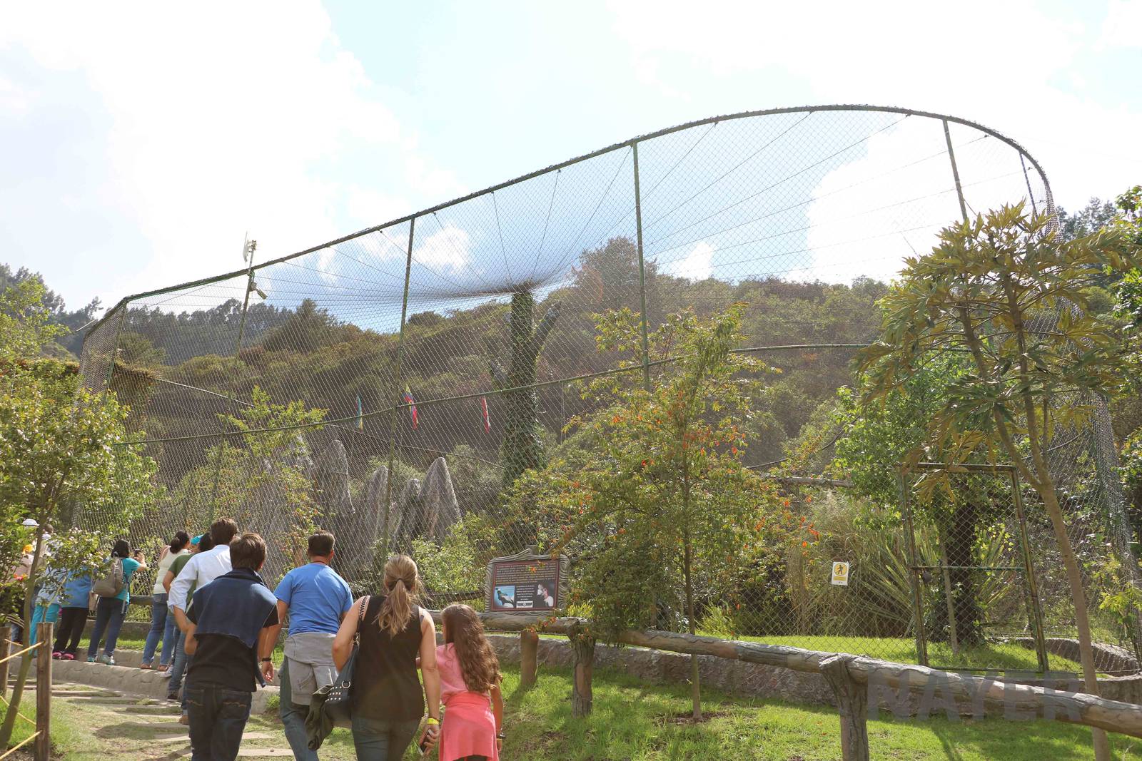 Andean condor aviary, March 2016