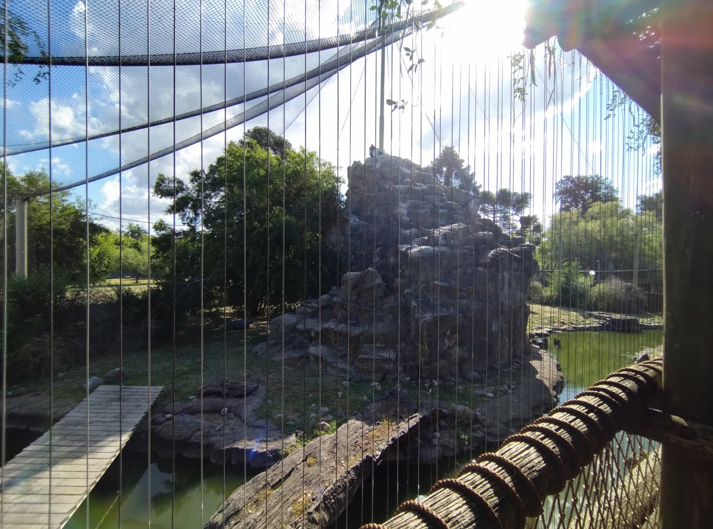 Andean condor aviary, Patagonia - Temaiken