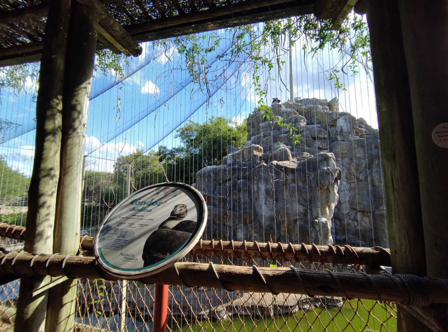 Andean condor aviary, Patagonia - Temaiken