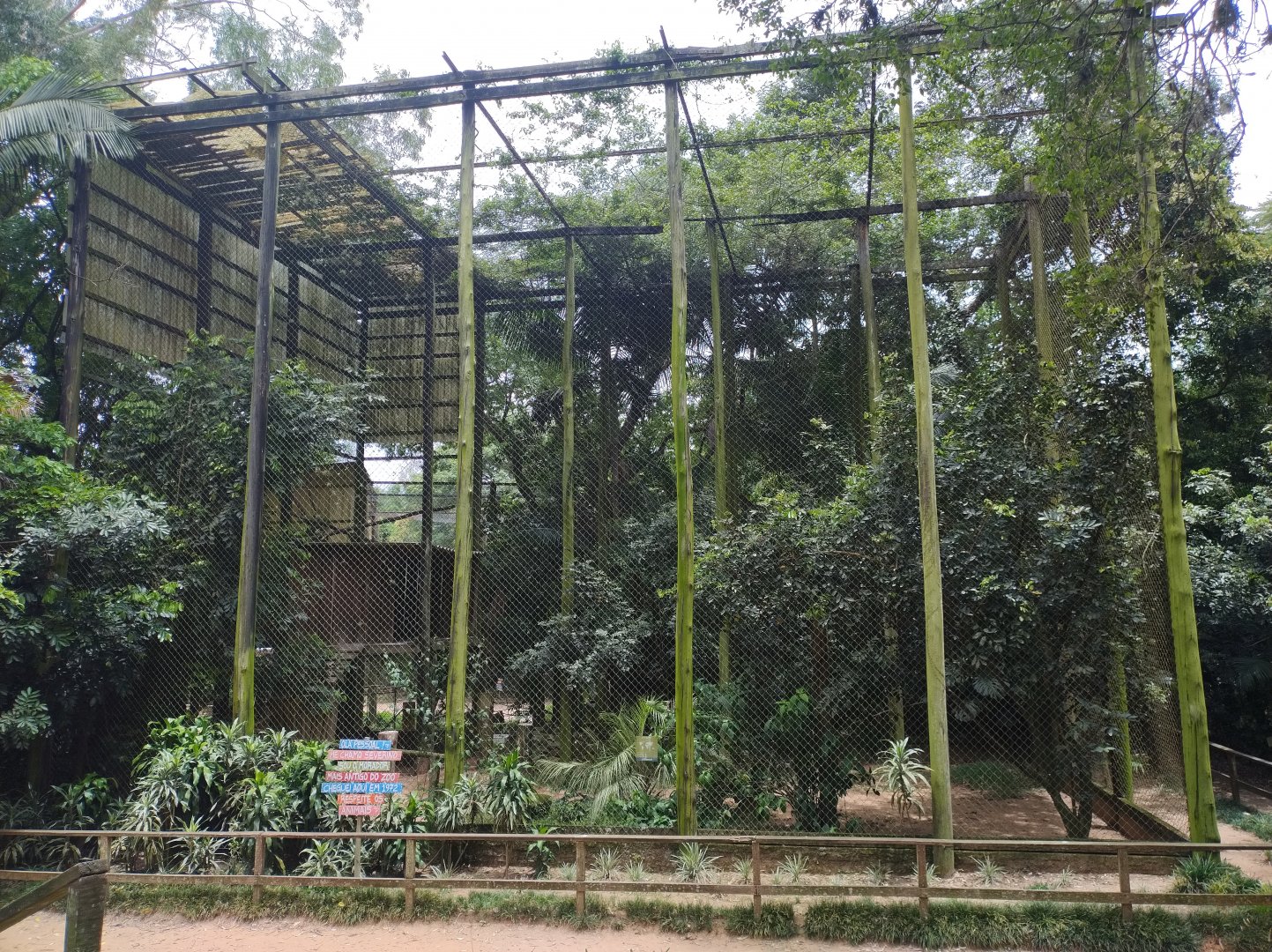 Andean condor aviary - Zoo Sapucaia