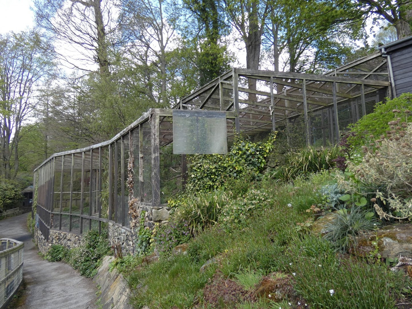 Andean condor aviary
