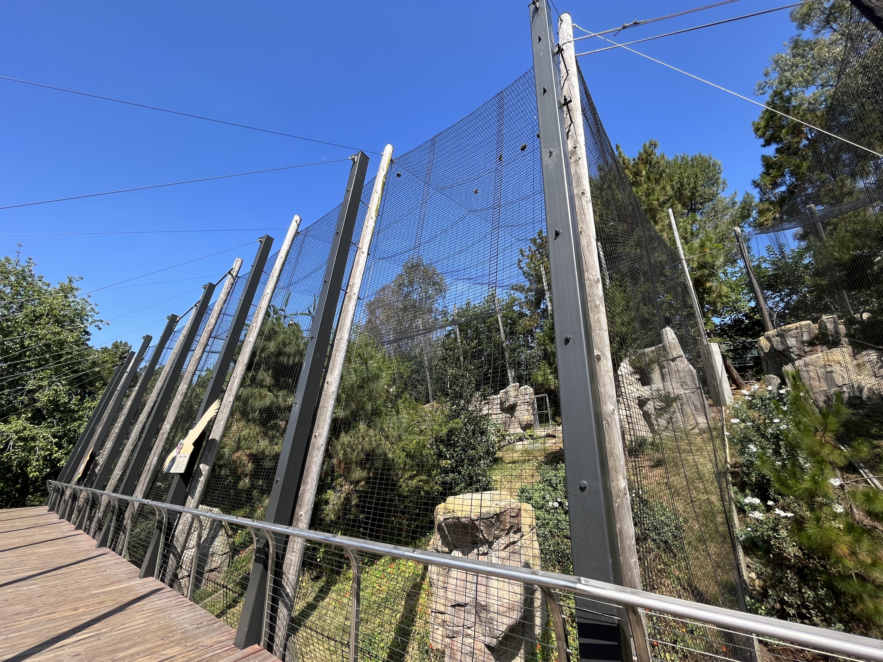 Andean Condor Aviary