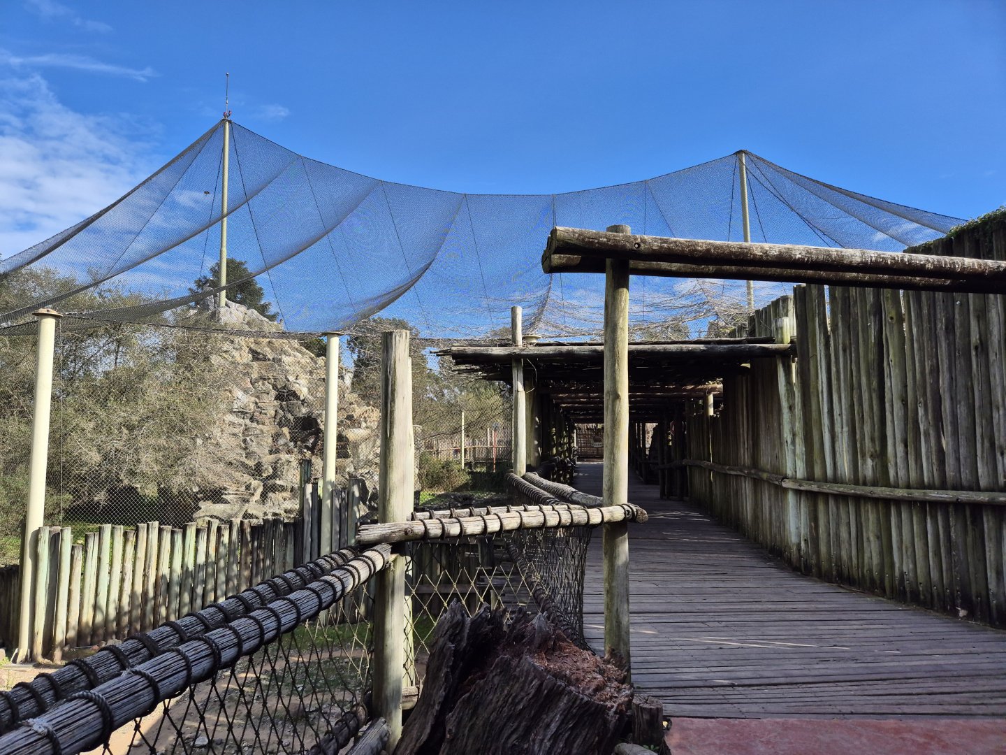 Andean Condor aviary