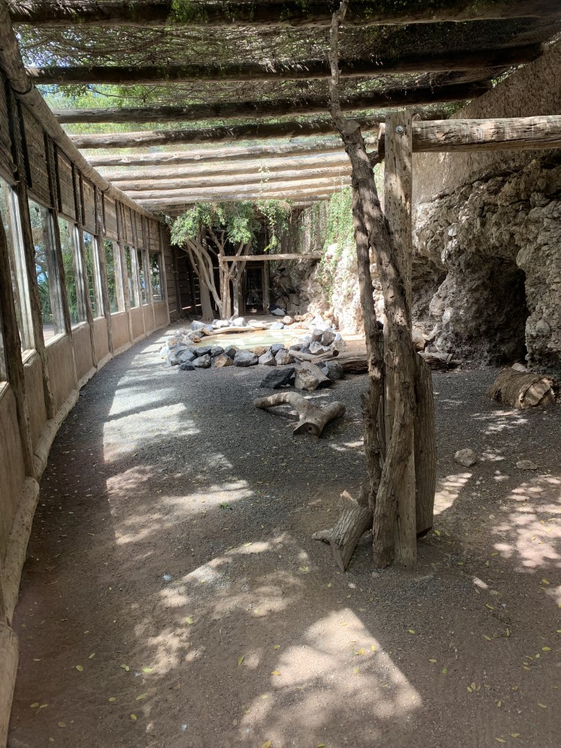 Andean Condor Enclosure