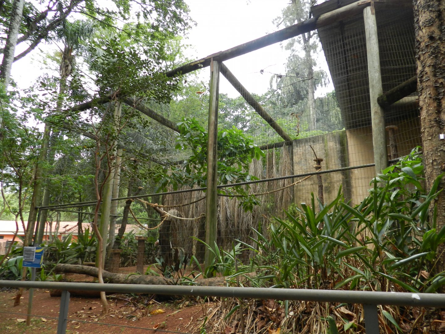 Andean condor exhibit - Sorocaba zoo (PZMQB)