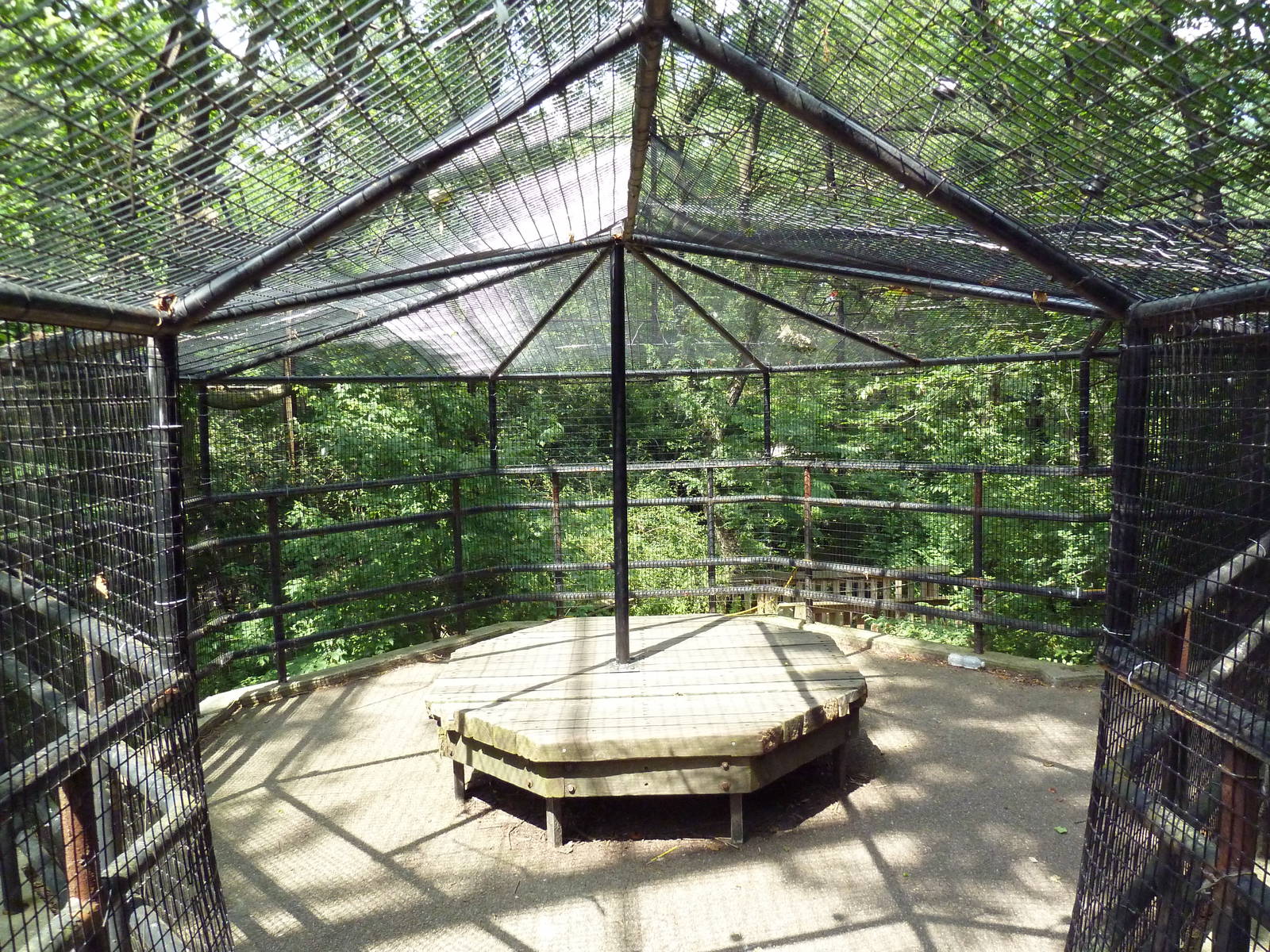 Andean Condor Exhibit - Visitor Walkway