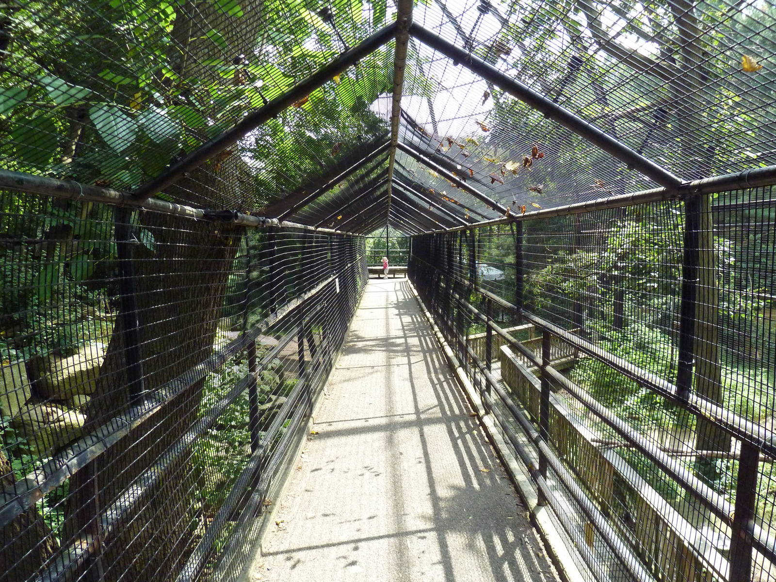 Andean Condor Exhibit - Visitor Walkway