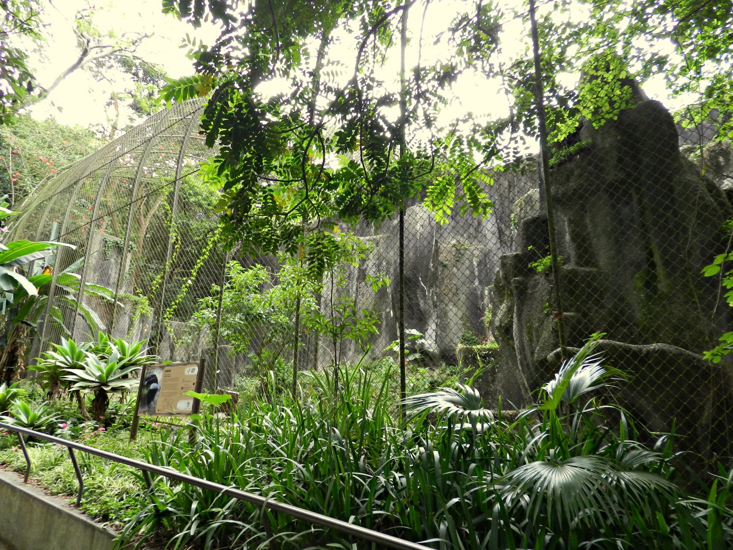 Andean condor exhibit - Zoo São Paulo