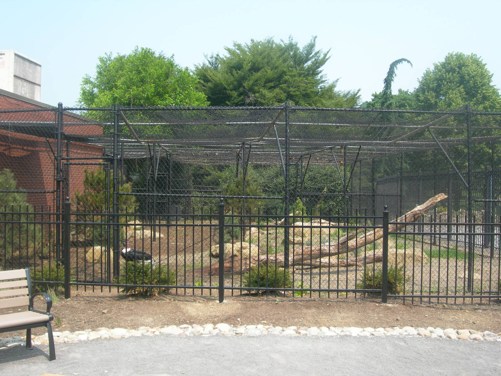 Andean Condor Exhibit