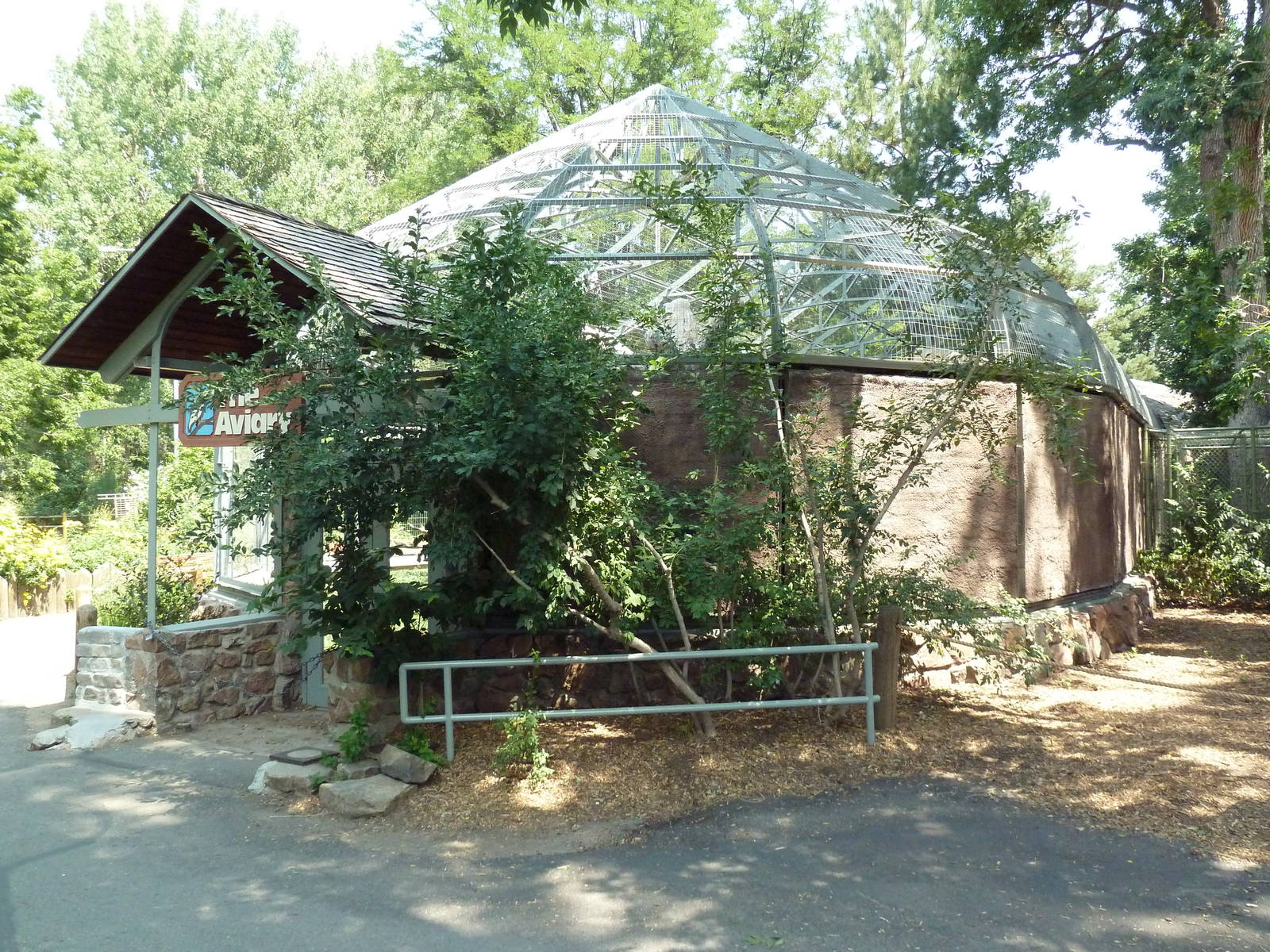 Andean Condor Exhibit