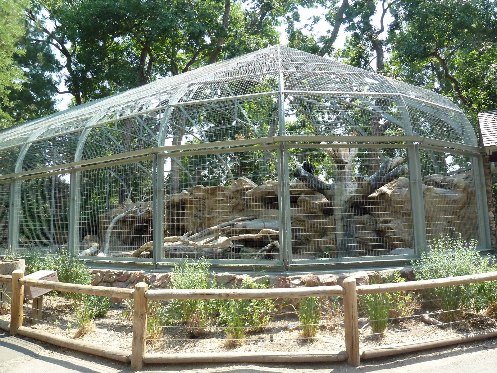 Andean Condor Exhibit
