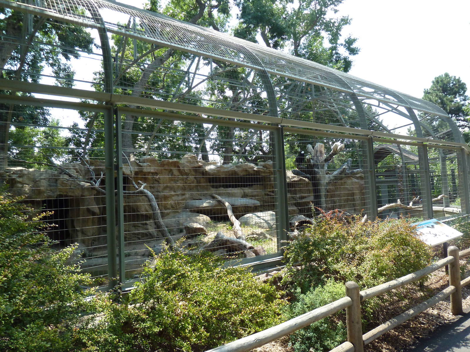 Andean Condor Exhibit
