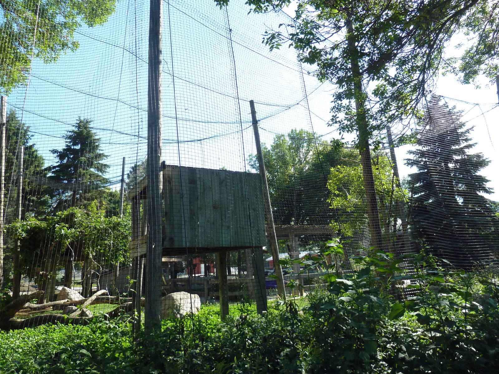 Andean Condor Exhibit
