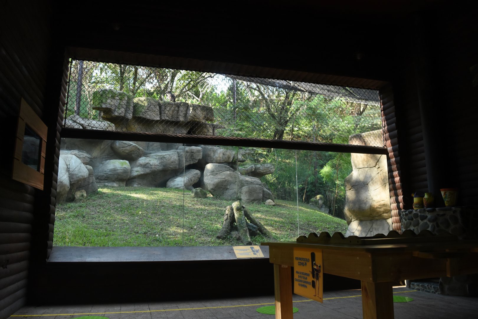 Andean Condor exhibit