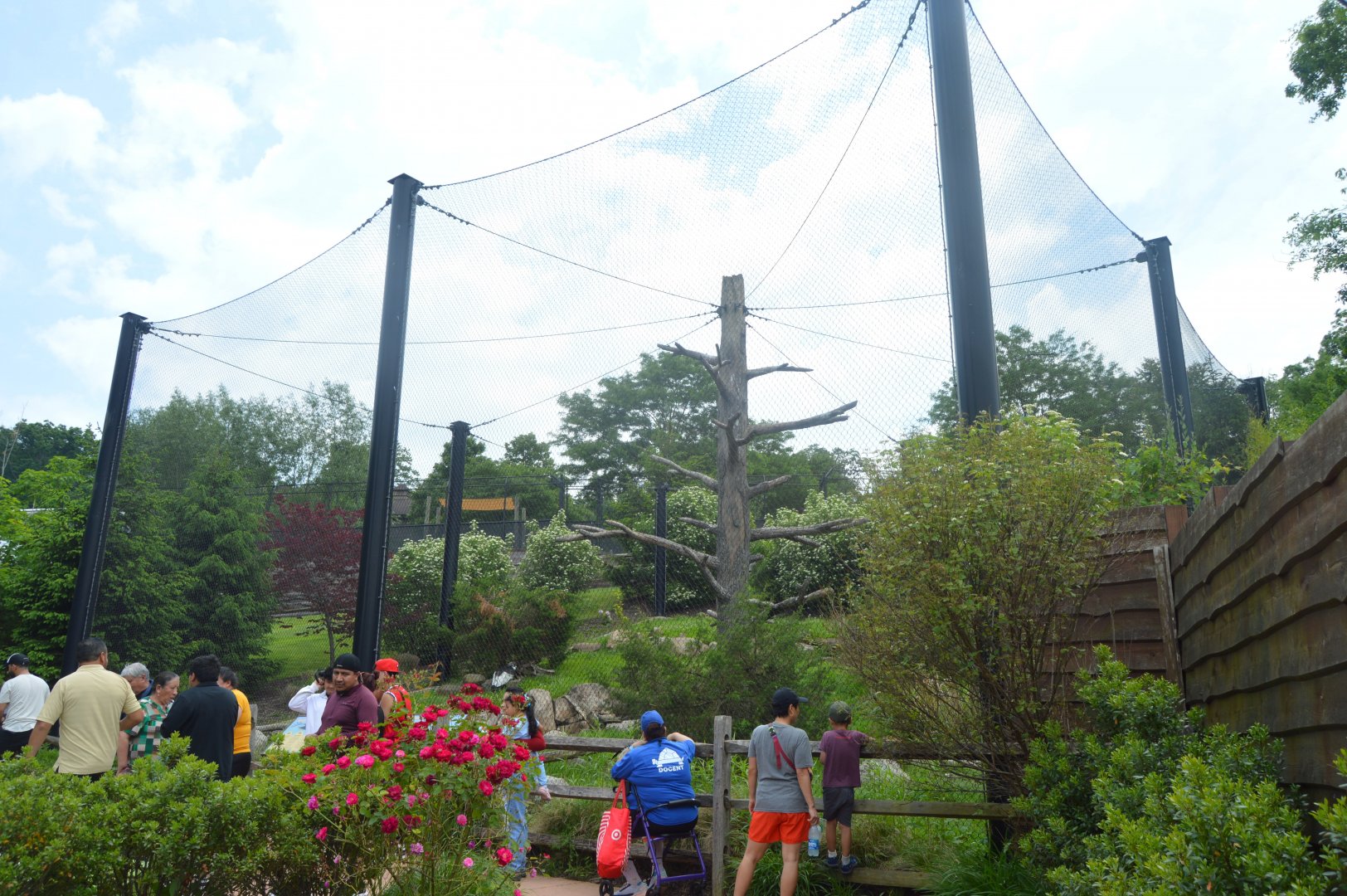 Andean Condor Exhibit