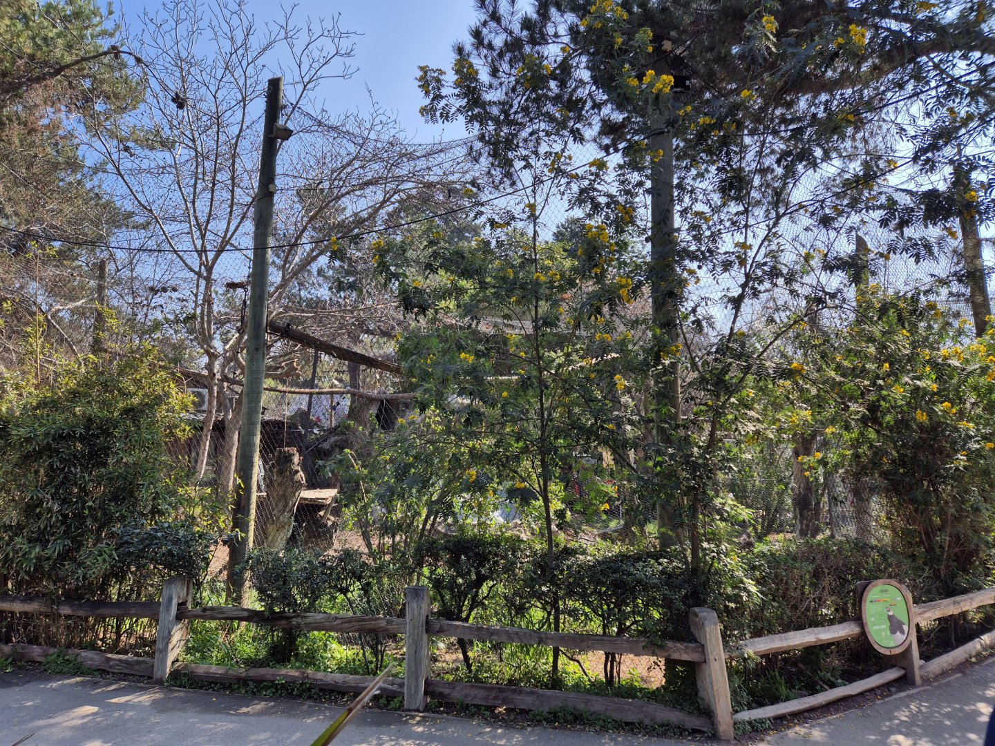 Andean condor exhibit
