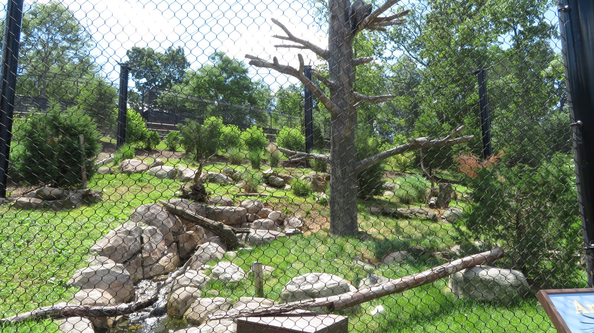 Andean Condor Habitat (Summer 2020)