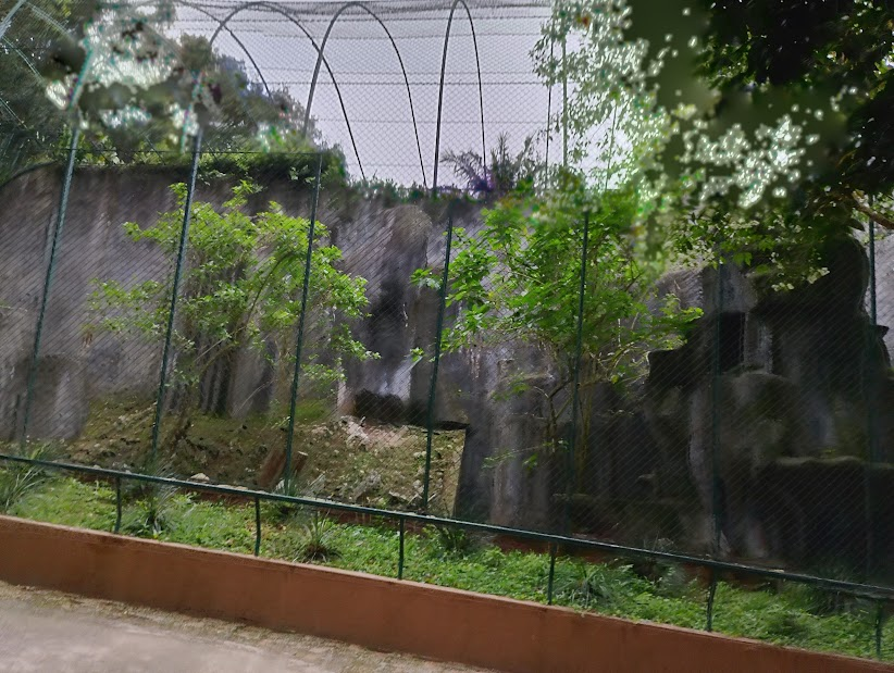 Andean condor habitat