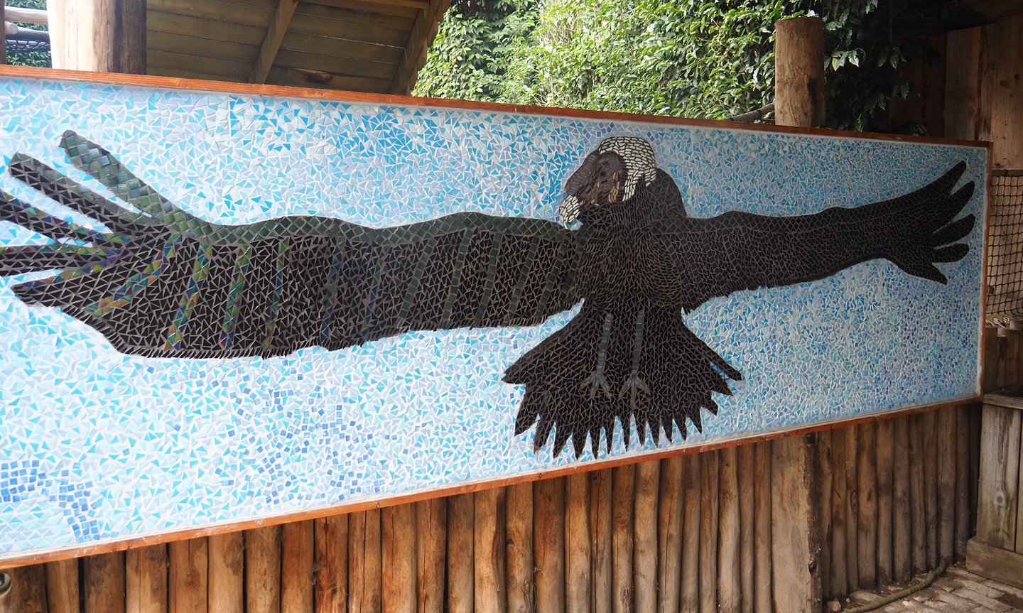 Andean condor mosaic, 2022-08-20