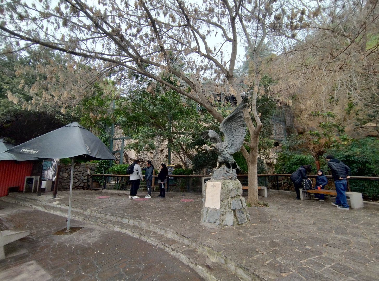 Andean condor square - Santiago Zoo (Zoologico nacional)
