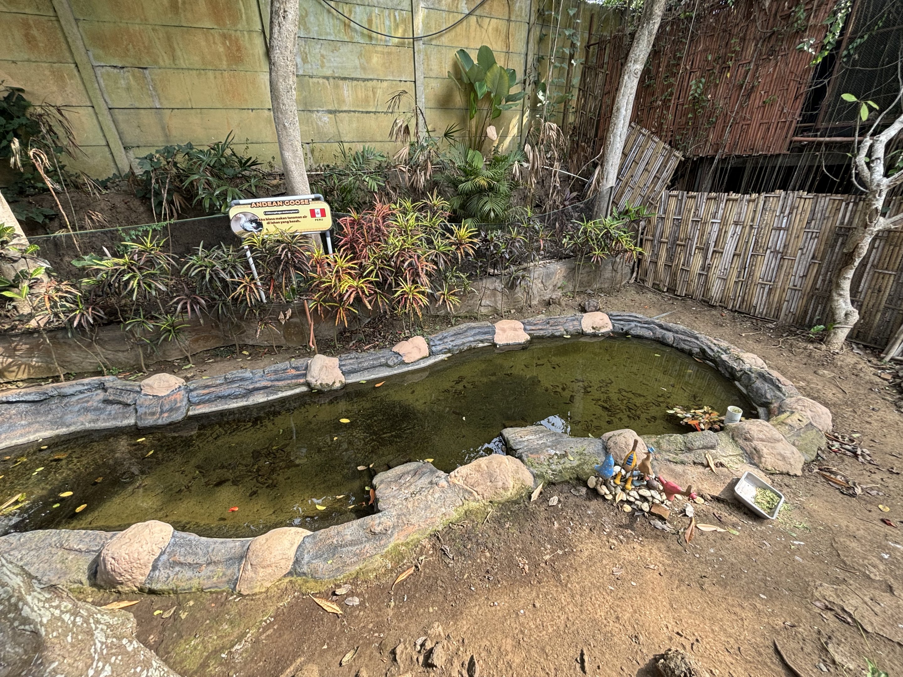 Andean Goose Exhibit