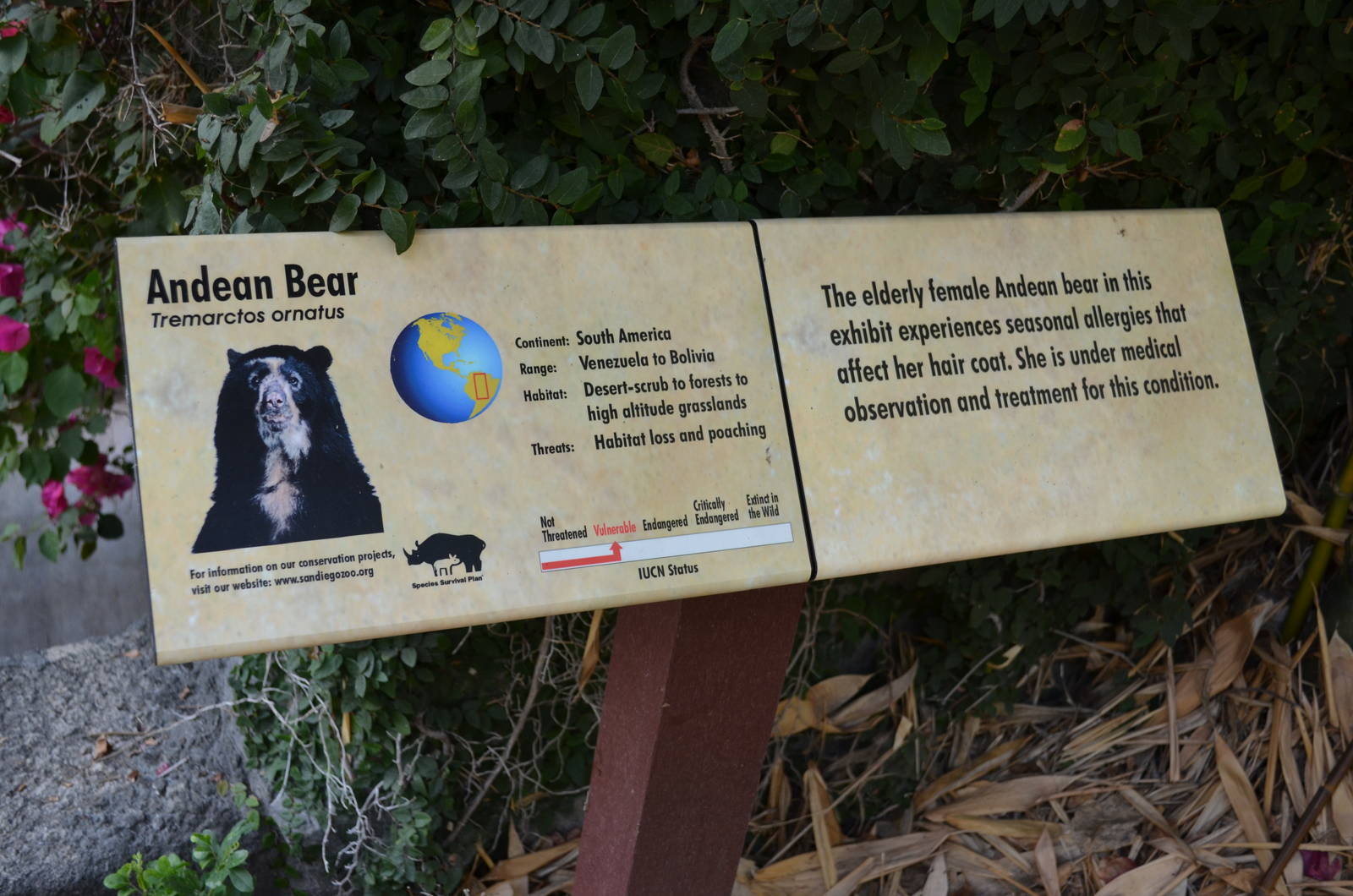 Andean(Spectacled) Bear Signage