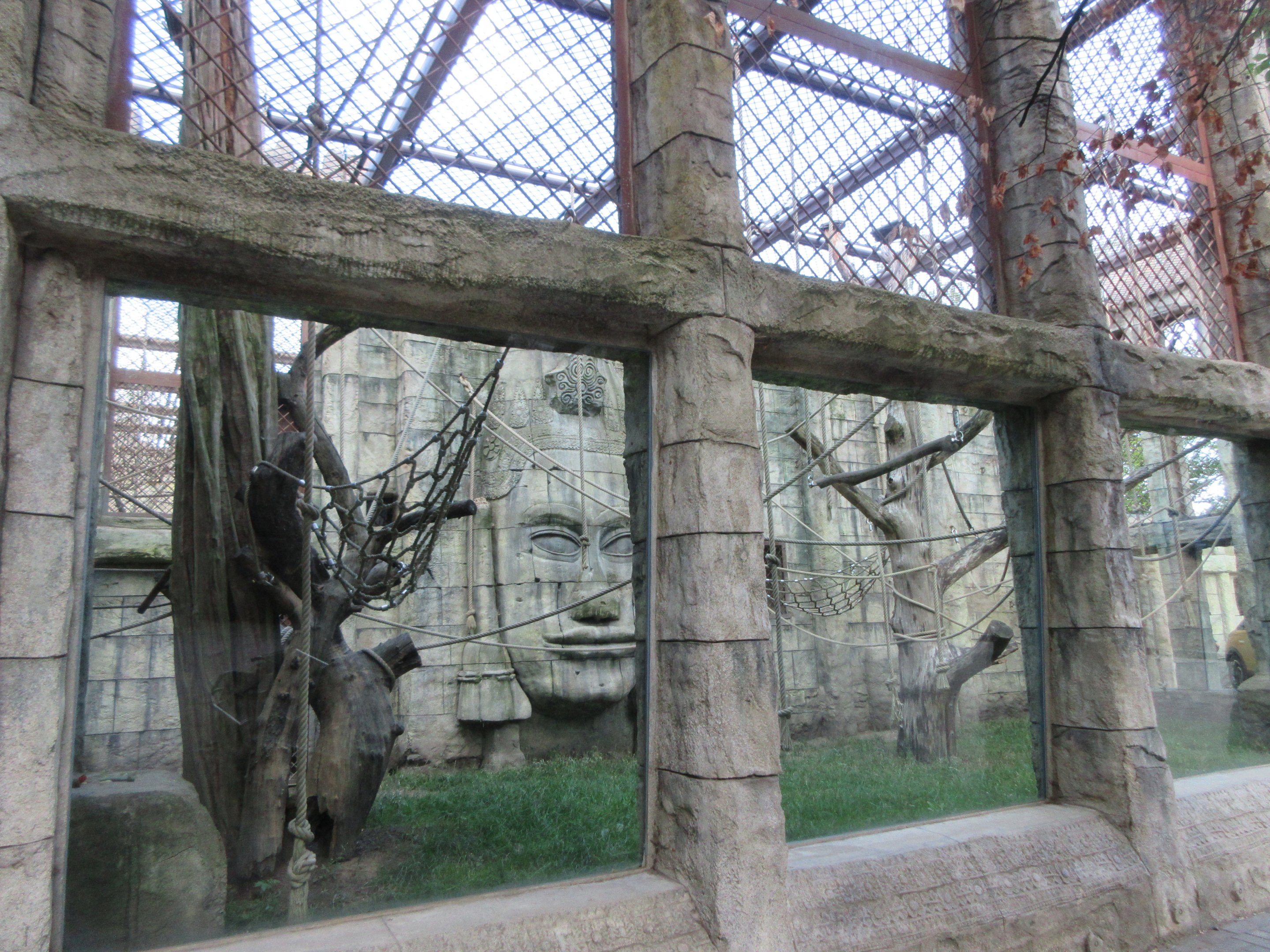 Angkor Wat - Bornean Orangutan/White-cheeked Gibbon Exhibit