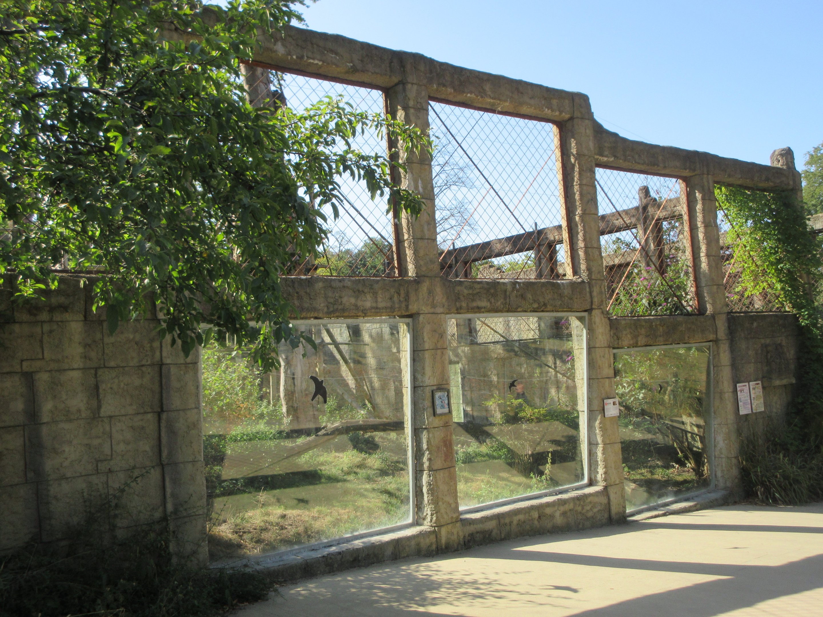 Angkor Wat - Red Panda/Tufted Deer Exhibit