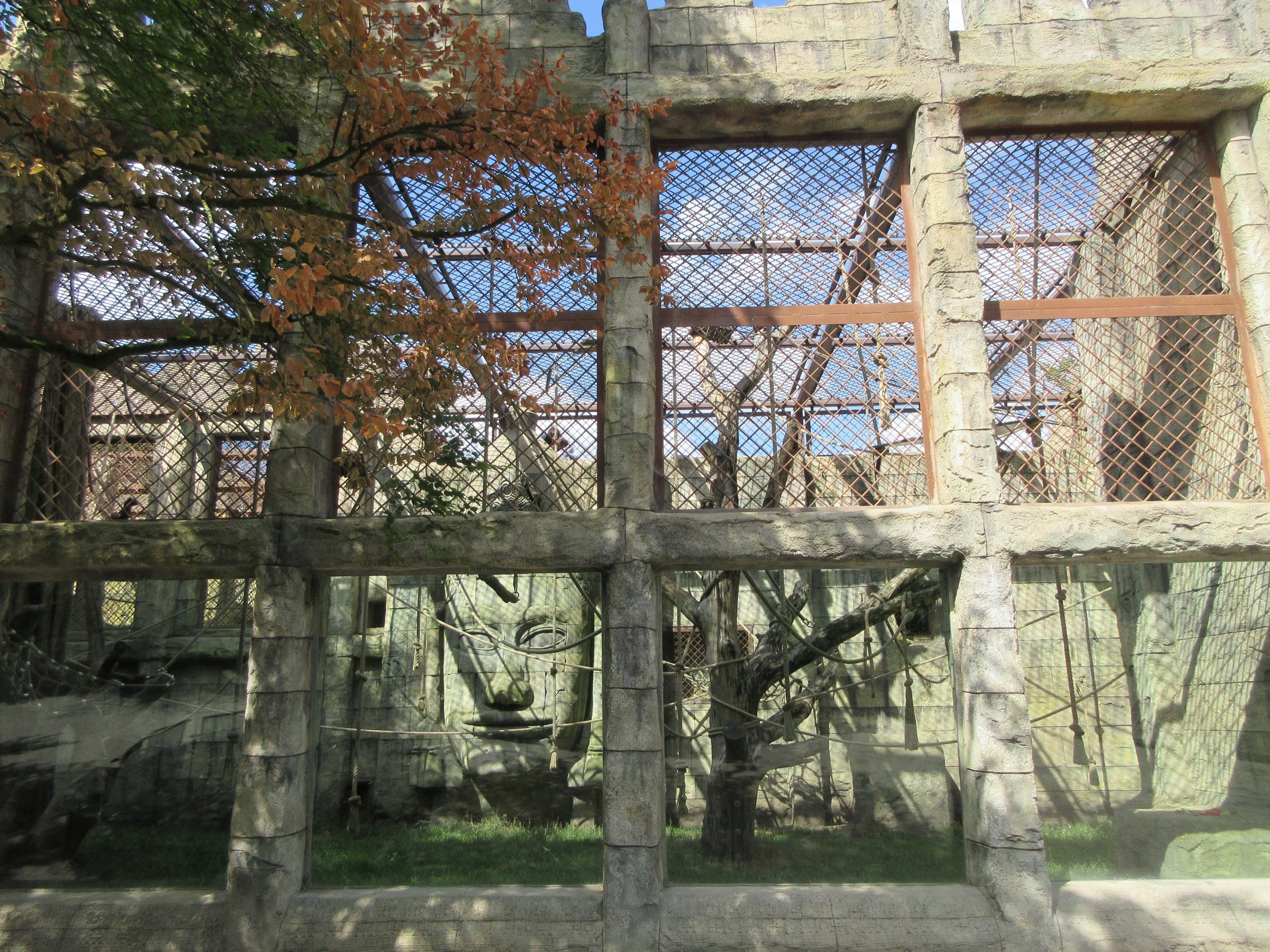 Angkor Wat - Siamang Exhibit