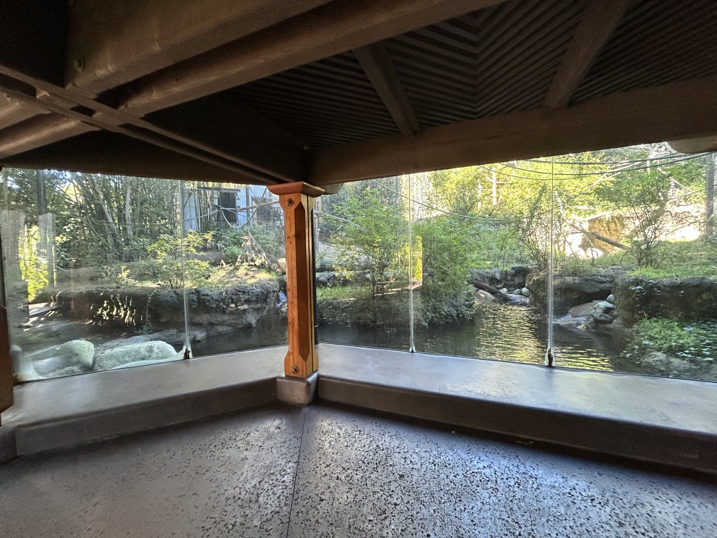 Angolan Colobus & Black Mangabey Exhibit - Sun Bear Forest