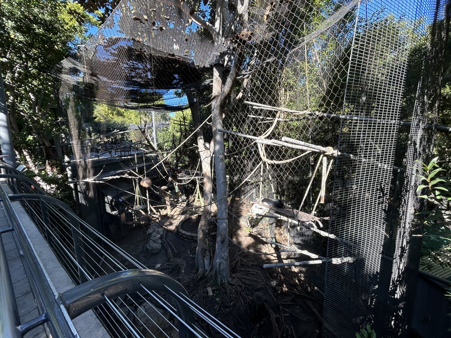 Angolan Colobus Exhibit - Monkey Trails & Forest Tales