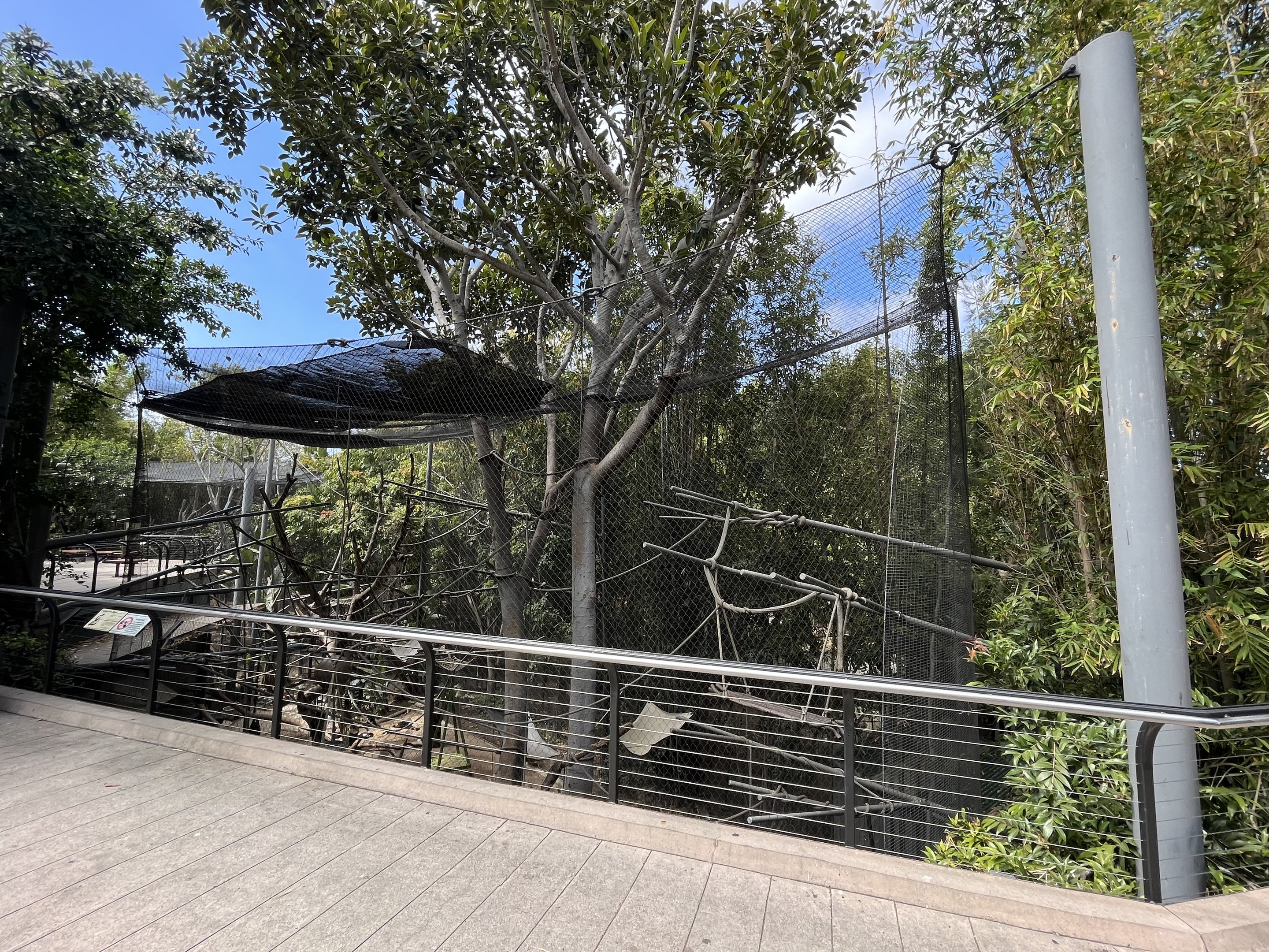 Angolan Colobus Exhibit