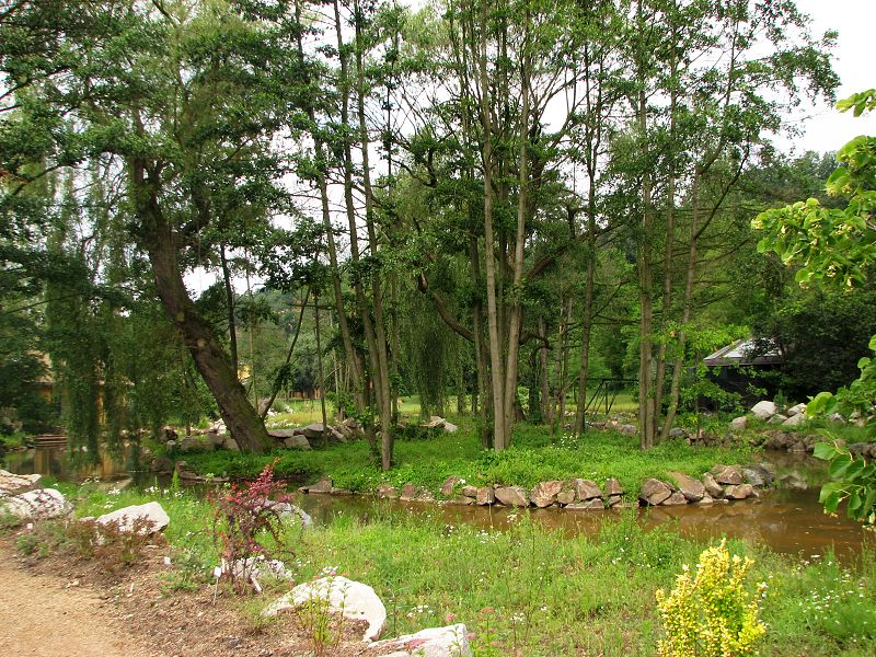 Angolan colobus island inside the pygly hippo pool