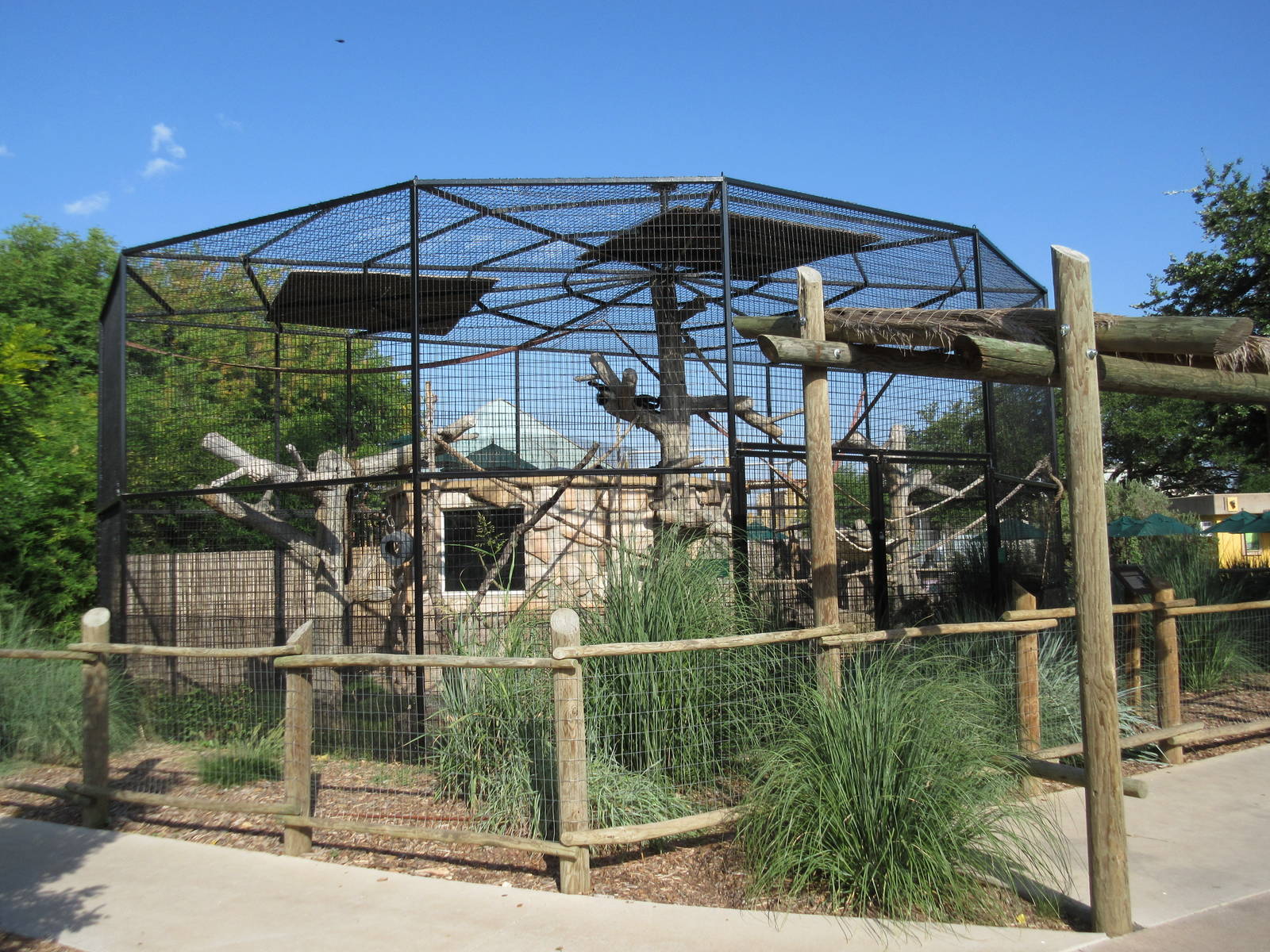 Angolan Colobus Monkey Exhibit