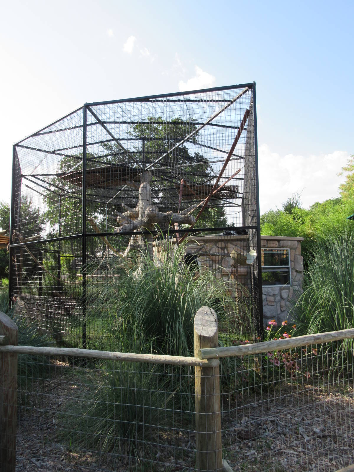Angolan Colobus Monkey Exhibit